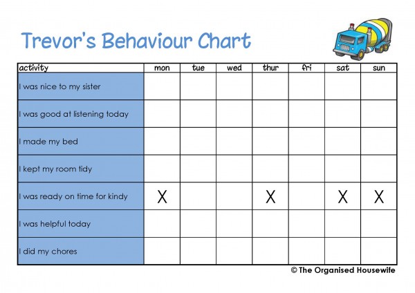 Behaviour Charts