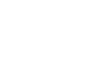 Birdsnest logo logo