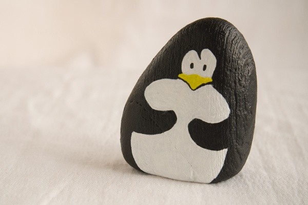 Pet rocks  Pet rocks, Rock crafts, Painted rocks diy