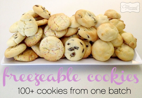 100+ freezeable cookies