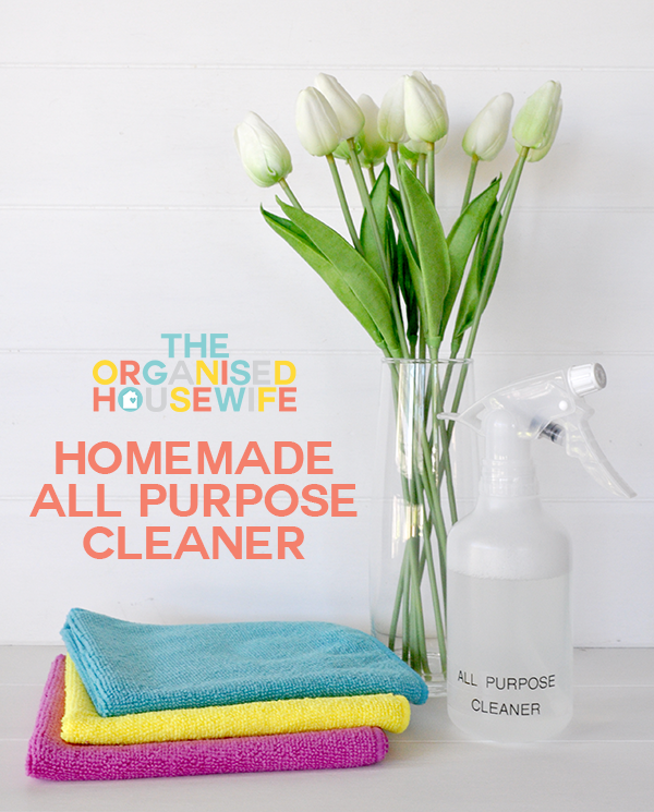 Homemade Natural Fridge Cleaner - The Organised Housewife