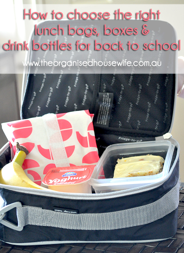 School lunch best sale bag and bottle