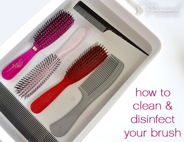 How to clean and disinfect your hair brush and combs - The Organised  Housewife