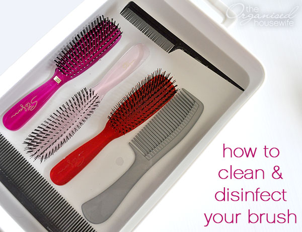 how to clean your hairbrush