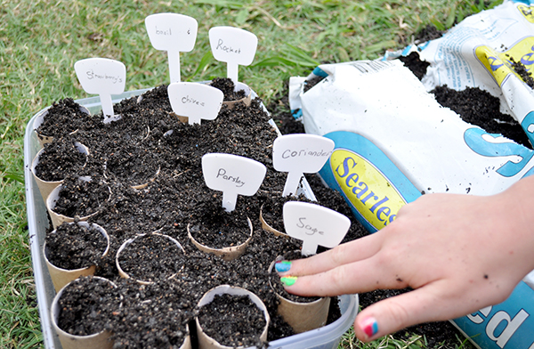 {The Organised Housewife} Growing Seedlings 2