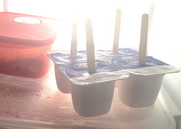 {The Organised Hosuewife} Frozen Yoghurt Icypoles 2