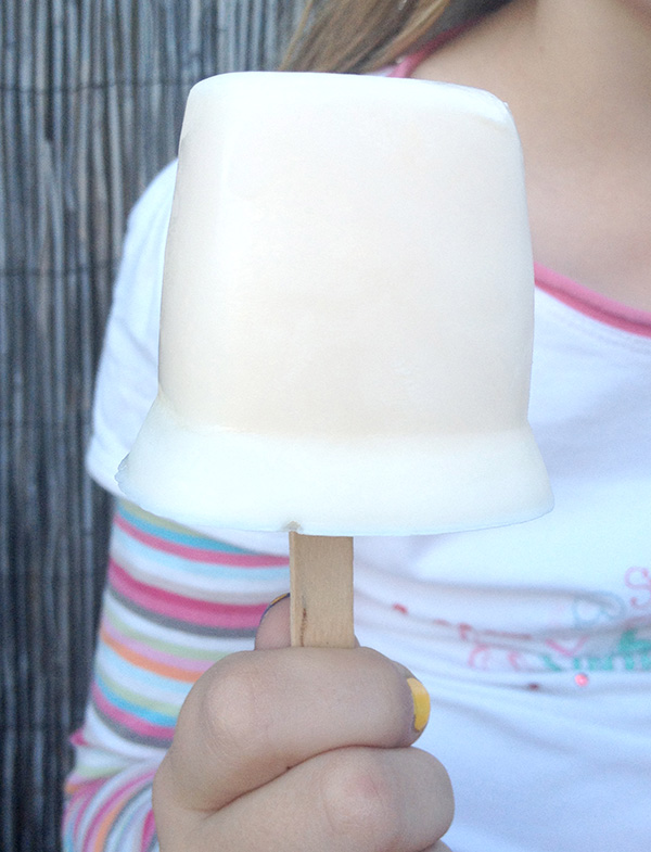 {The Organised Hosuewife} Frozen Yoghurt Icypoles 4