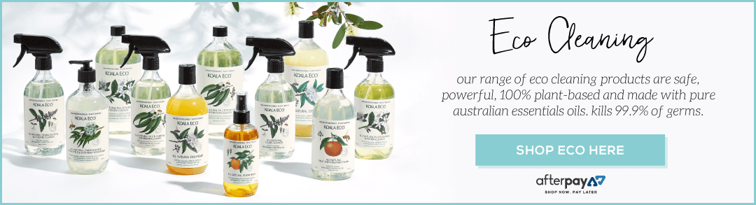 eco cleaning products