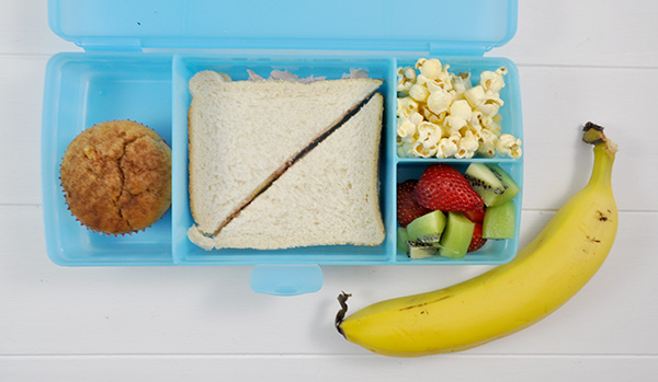 {THE ORGANISED HOUSEWIFE} Healthy Lunchbox idea