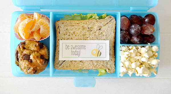 One Week of Lunchbox Ideas for Kids - The Organised Housewife