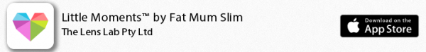 fat mum slim little moments banner