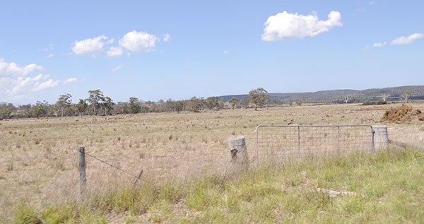 Scenery-Tasmania