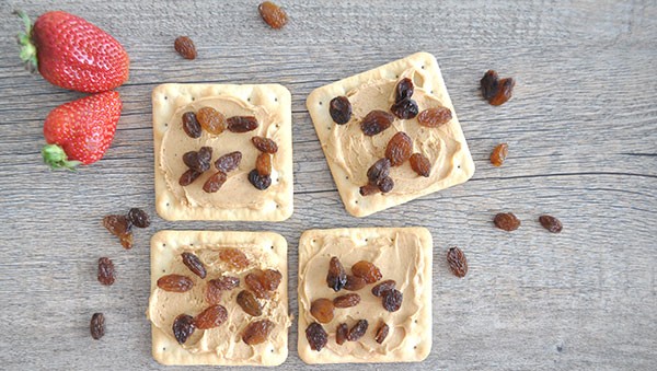 Healthy-after-school-snack-idea,-peanut-butter-and-sultana-on-sao