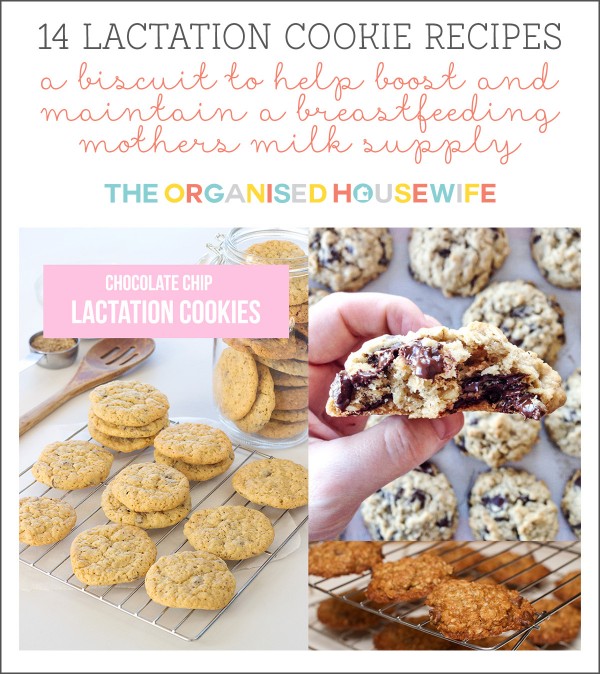 14 lactation cookie biscuit recipes