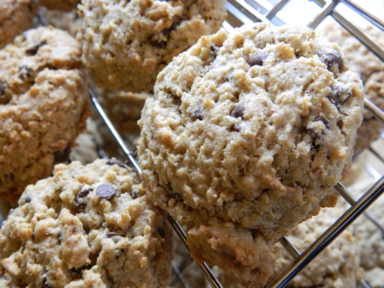 Oatmeal Chocolate Chip Lactation Cookies