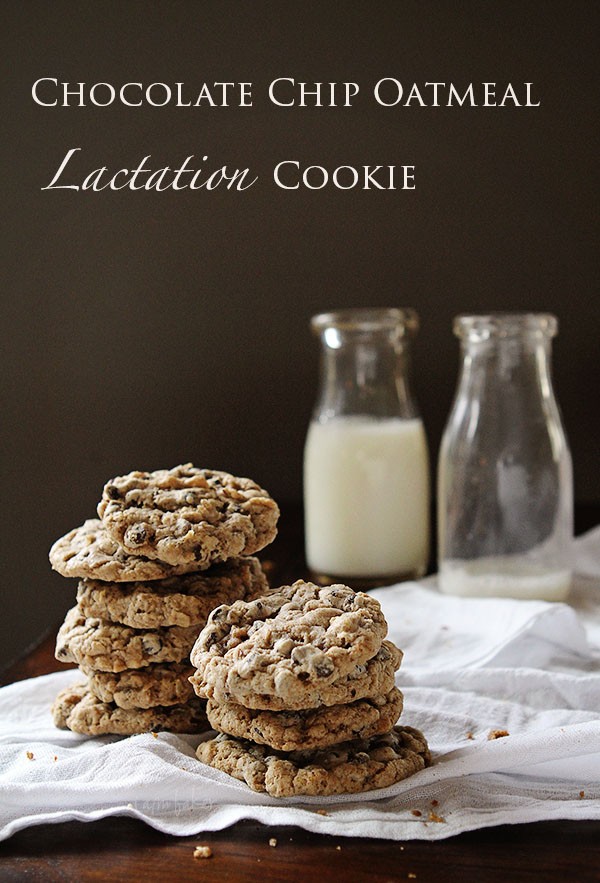 chocolate chip lactation biscuit
