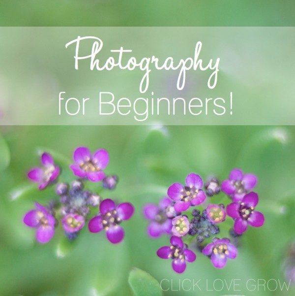 photography-for-beginners