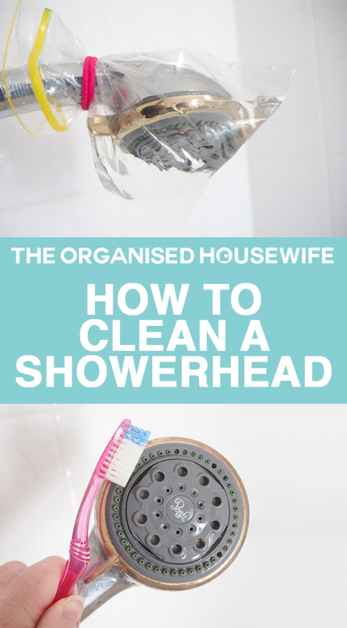 how to clean a shower head - pinterest