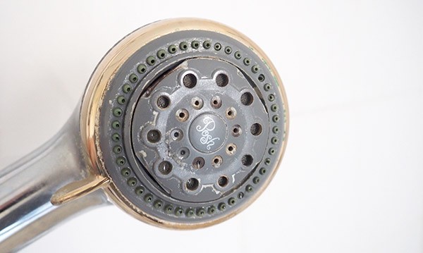 How to clean a shower head