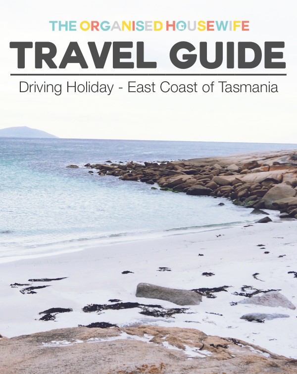 Travel-Guide-East-Coast-Tasmania