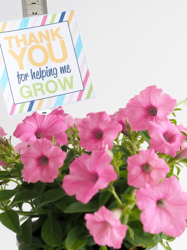 Thank-you-for-helping-me-grow-label