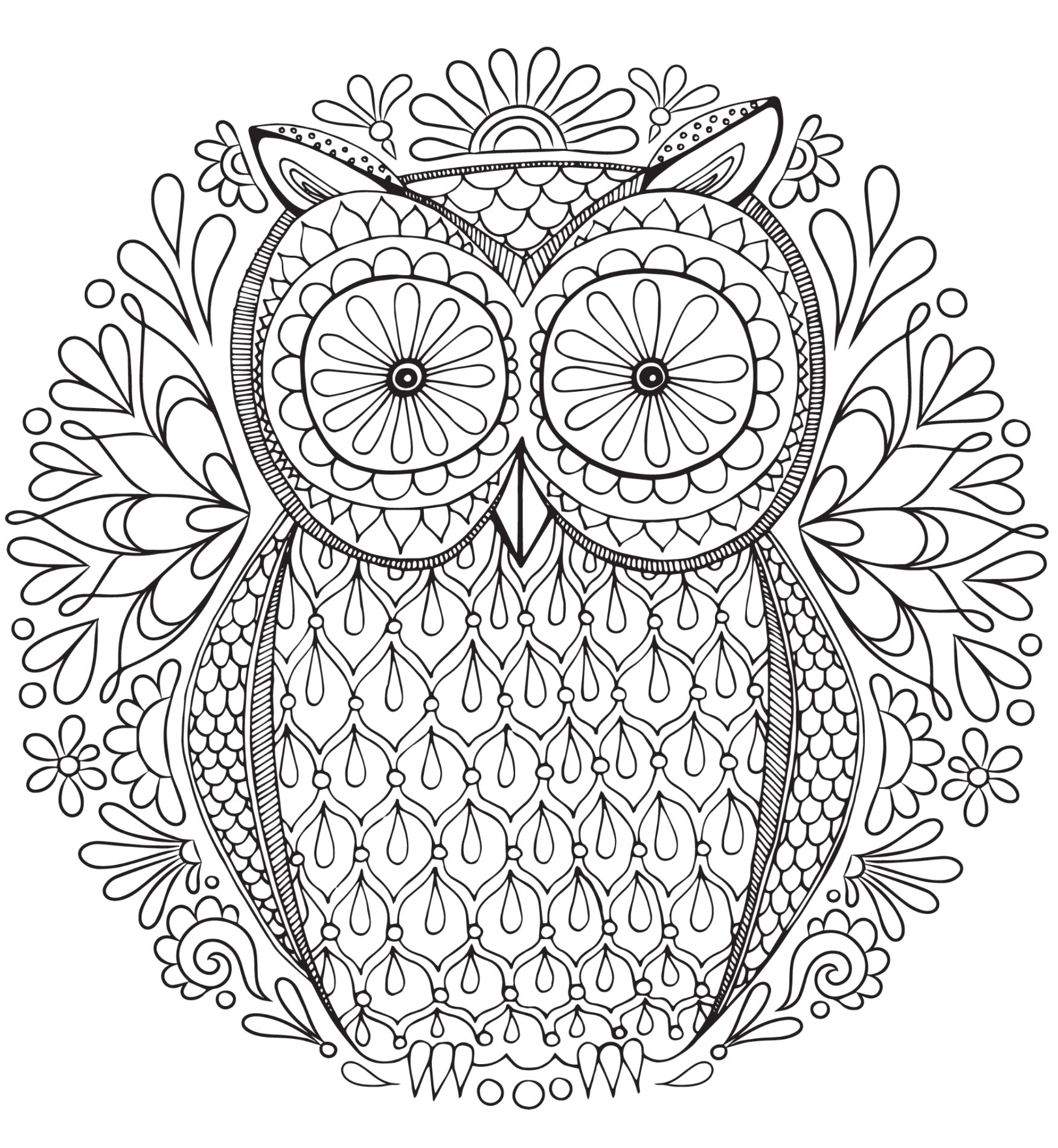 20 Free Adult Colouring Pages The Organised Housewife