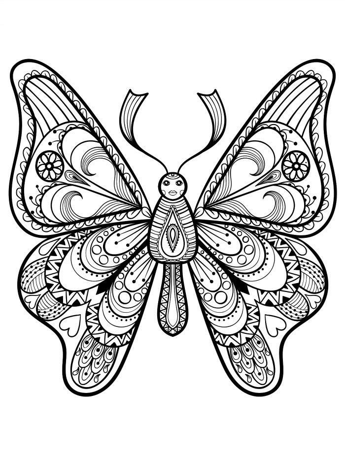 Download 20 Free Adult Colouring Pages The Organised Housewife