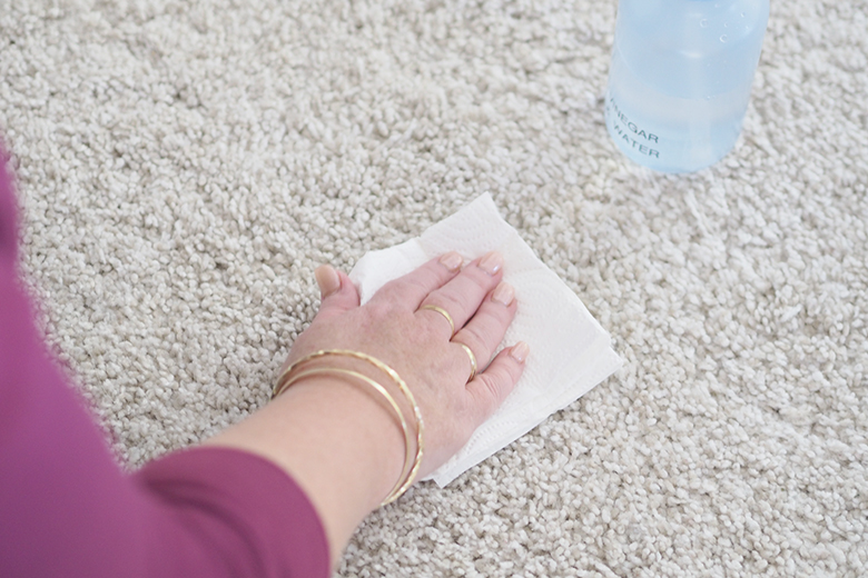 Easy and effective Homemade Carpet Cleaner for Pet Stains, to remove any messes and odours.