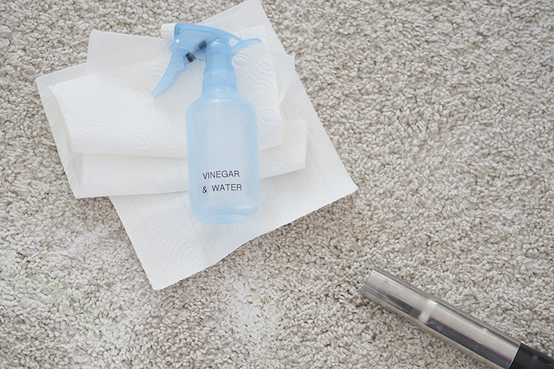 Easy and effective Homemade Carpet Cleaner for Pet Stains, to remove any messes and odours.