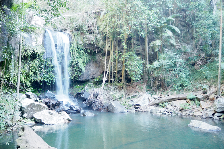 The Gold Coast really is paradise from beaches in the east to mountains in the west no matter which way you go you're guaranteed an enjoyable day out. If you're thinking of travelling the Gold Coast, try to visit some of these destinations.