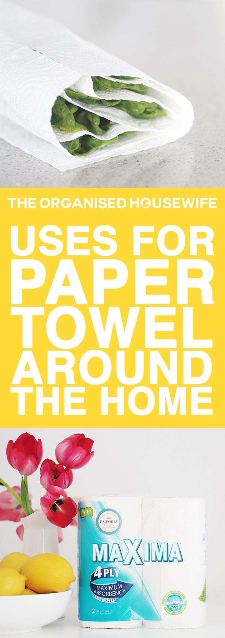 Paper towels are most commonly used for wiping up spills but did you know there are many more uses for the good ole paper towel? Here are some additional uses for paper towel around the home.