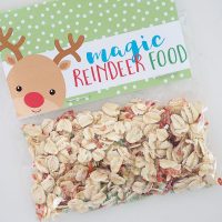 CHRISTMAS TREAT BAGS + PRINTABLE BAG TOPPERS - The Organised Housewife