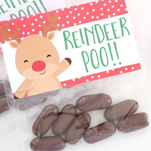 CHRISTMAS TREAT BAGS + PRINTABLE BAG TOPPERS - The Organised Housewife