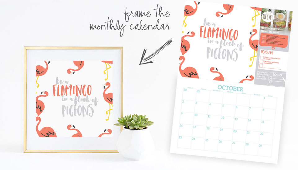 My 2017 calendar is jam-packed with colourful and fun quotes and graphics that make for great (and super cheap) wall art. It's an inexpensive way to decorate your home and you still have at least 6 months left in the calendar to use as well!