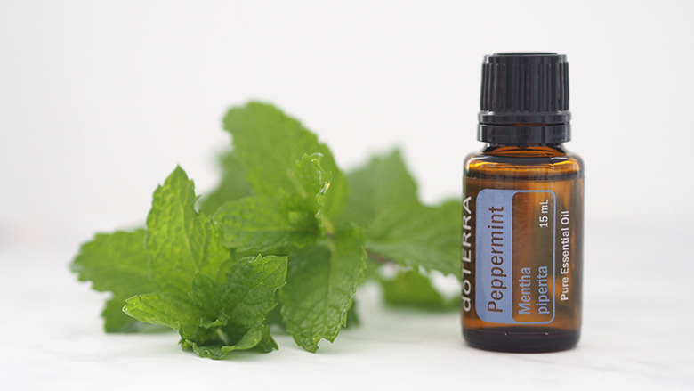 Peppermint essential oil is not only renowned for its fresh flavour, it can help alleviate headaches, stomach upset, promotes healthy respiratory function and helps sooth burnt areas by providing a cooling sensation.