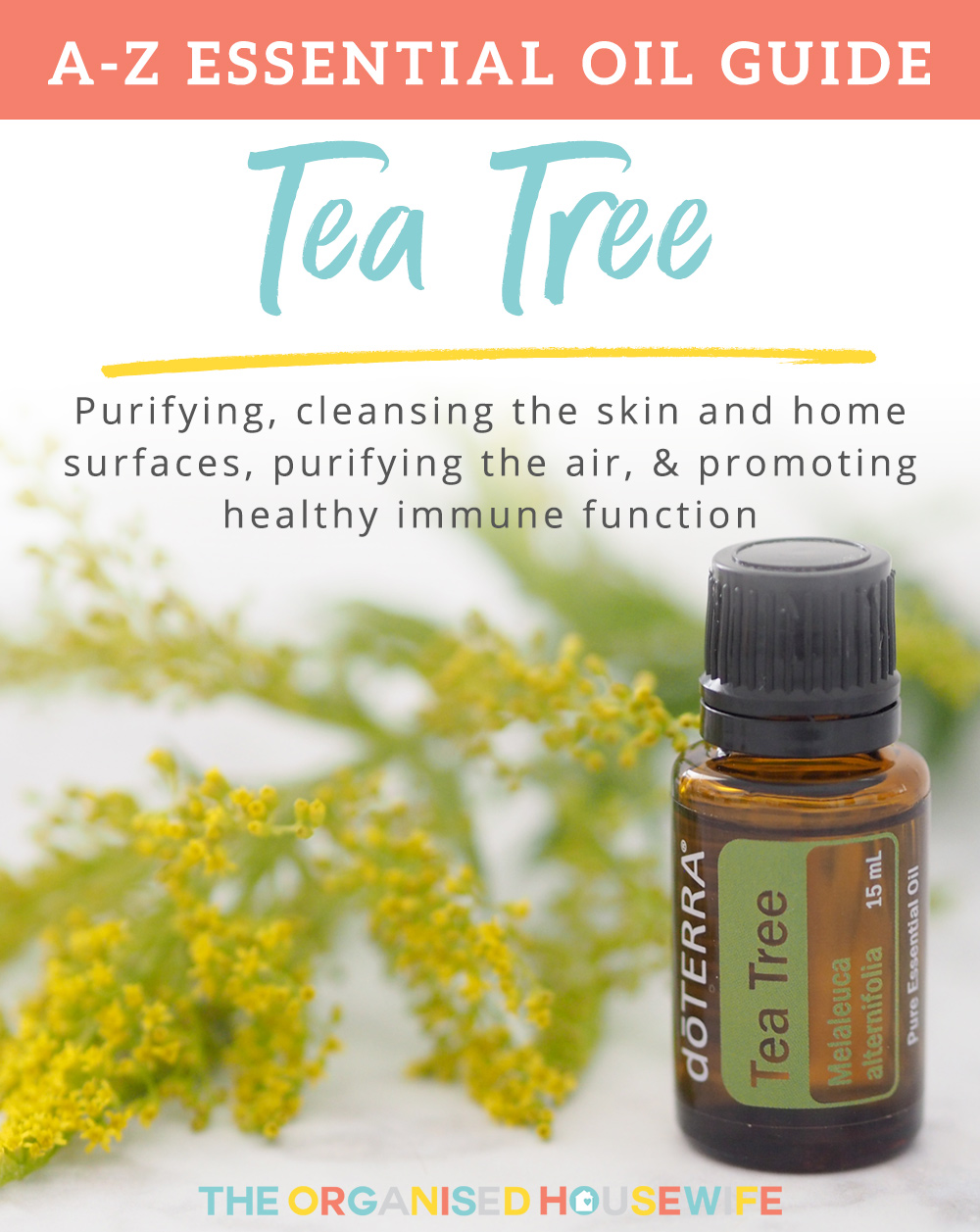 Tea Tree Essential Oil, is best known for its purifying qualities, which make it useful for cleansing the skin and home surfaces, purifying the air, or promoting healthy immune function.