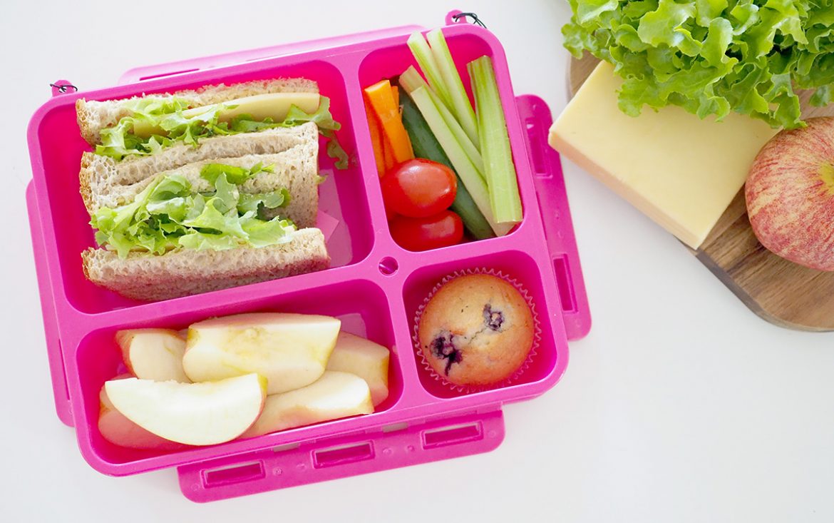    Guide To Choosing The Best School Lunch Box For Kids Go Green Mini 1170x733 