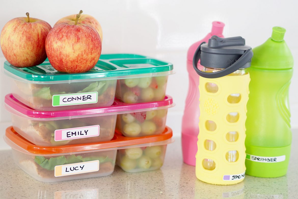 Tips for back to school - divided lunch boxes