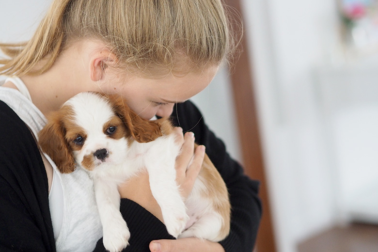 stop puppy chewing