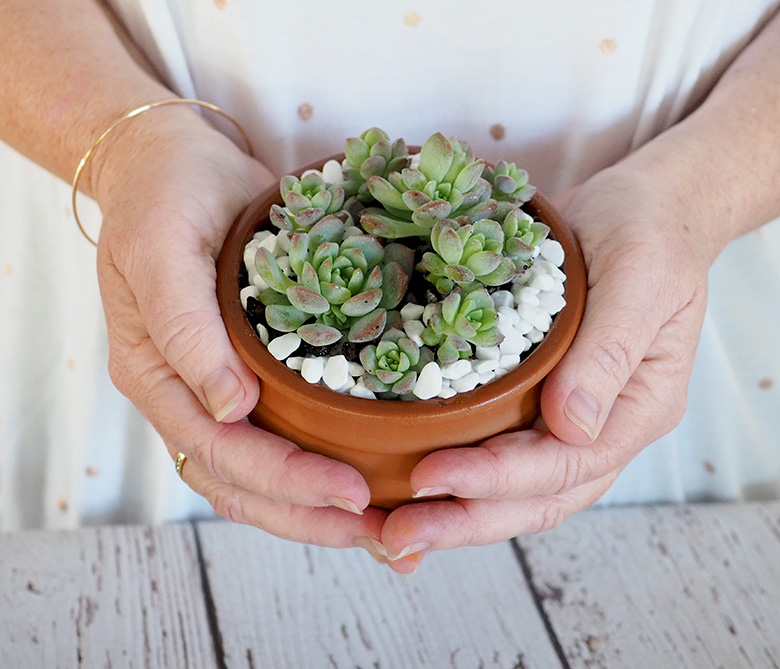 Inspiration for DIY gardening succulent pots