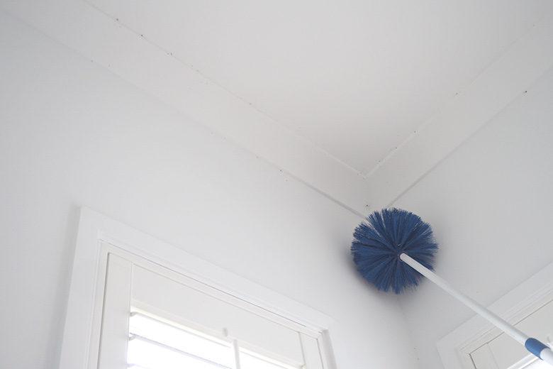 How To Clean Ceiling Cornices Removing Cobwebs The