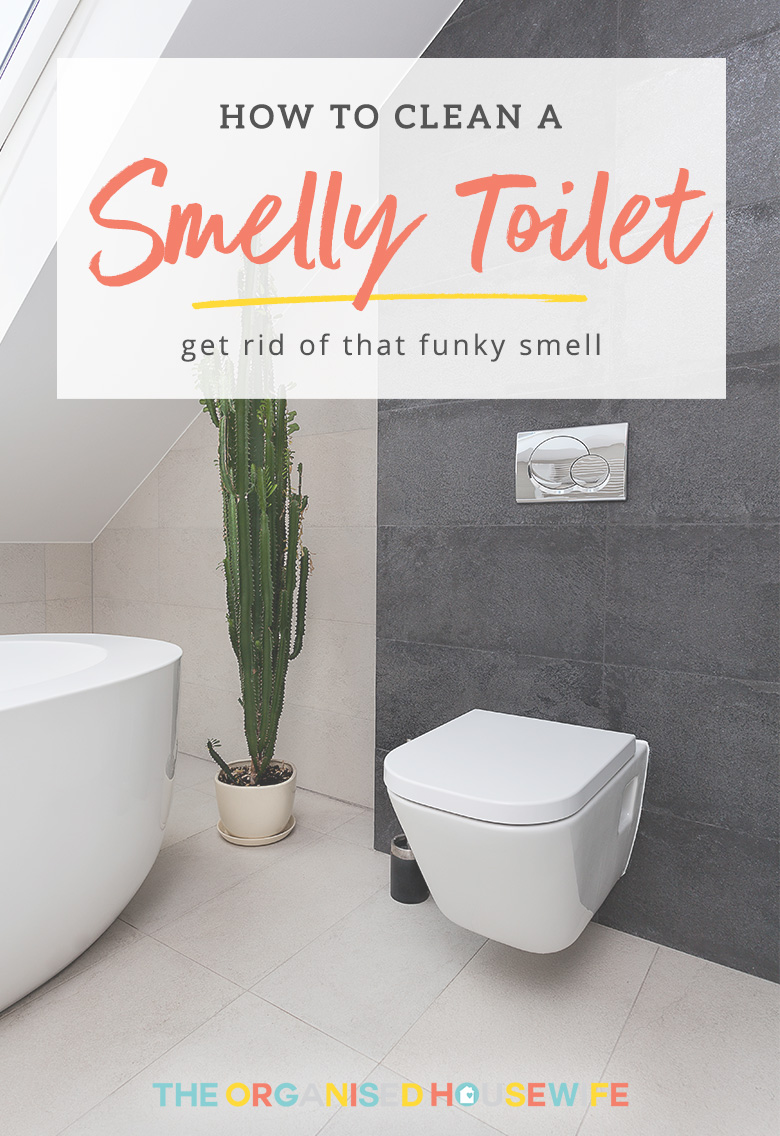 how-to-clean-a-smelly-toilet