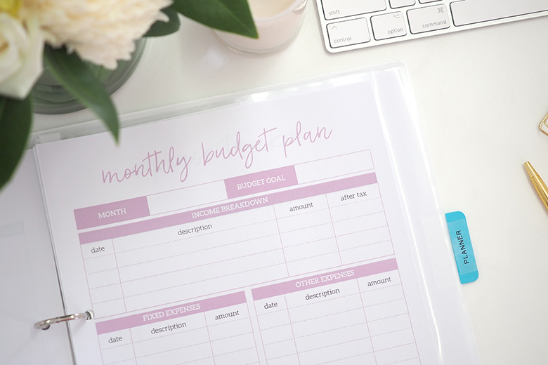 Imagine taking that overseas family holiday at the end of the year that you've always wanted to take your family on. Don't dream about it, make it happen!!! This 2019 Budget Organiser is the perfect way to achieve your financial goals this year.