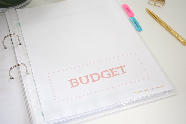 Imagine taking that overseas family holiday at the end of the year that you've always wanted to take your family on. Don't dream about it, make it happen!!! This 2019 Budget Organiser is the perfect way to achieve your financial goals this year.