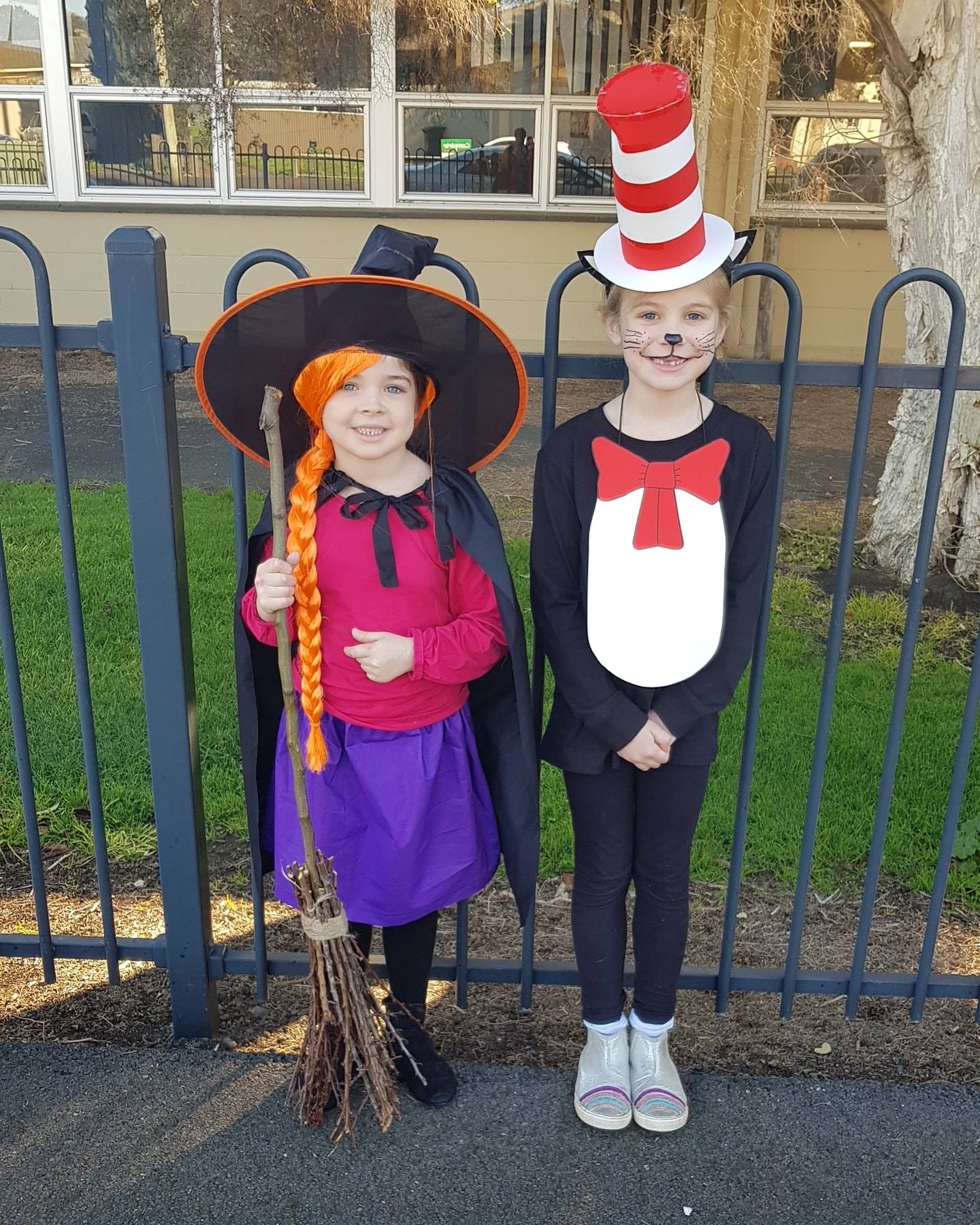 Room on the Broom and Dr Seuss Cat in the Hat Book Week 2019 Costume Ideas