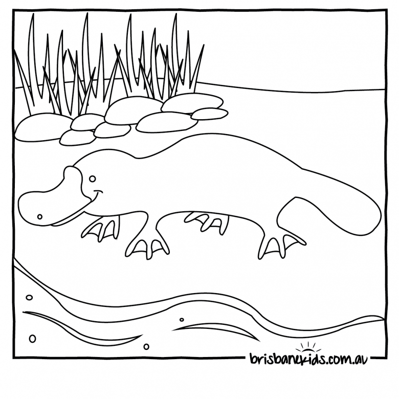 Platypus colouring in page for Australia Day