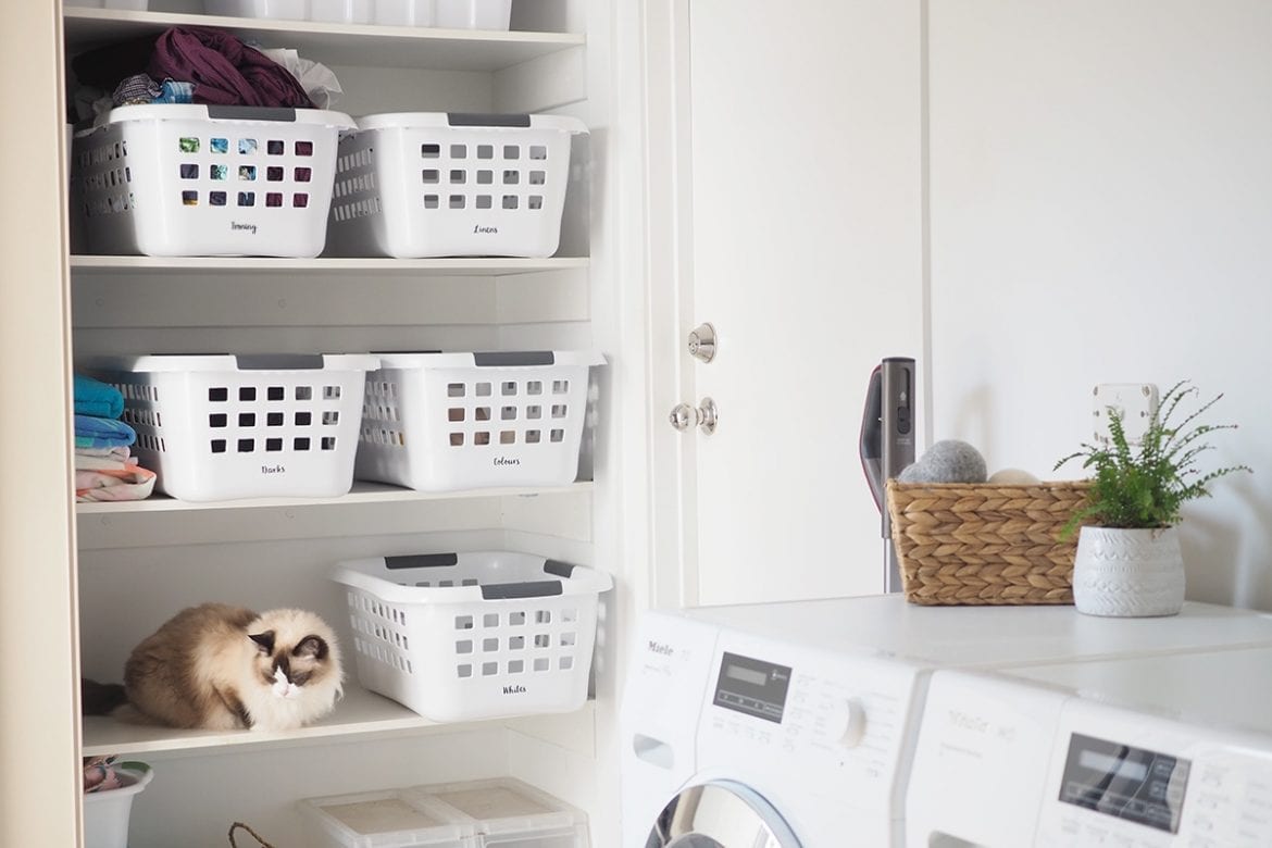 laundry sorting system