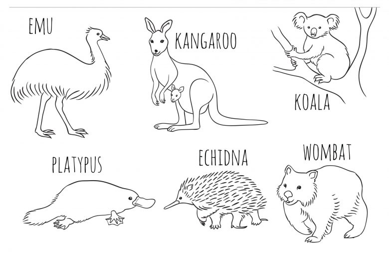 Native Australian animals colouring in printable