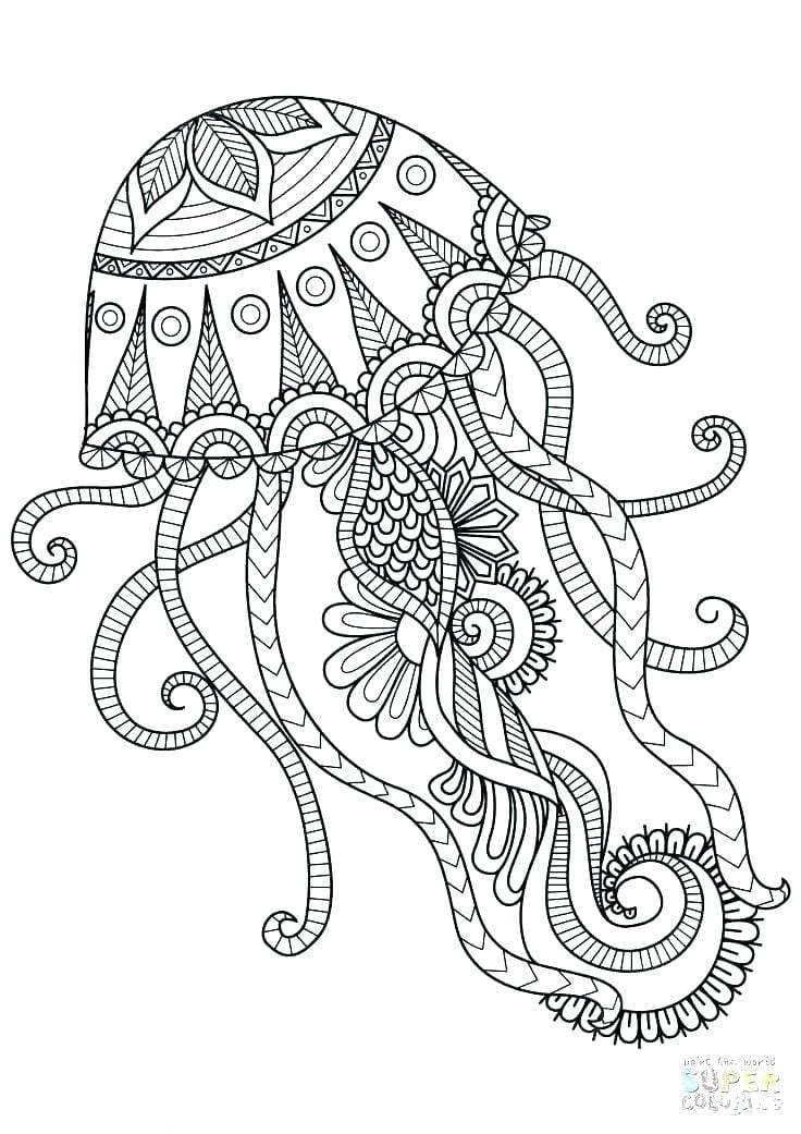 Octopus colouring in page for Australia Day