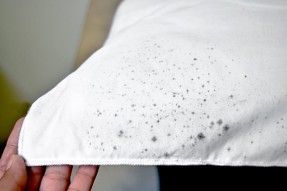 tips to reduce indoor moisture and prevent mould when raining